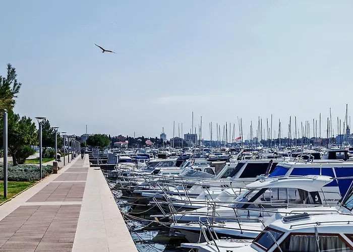 Sea Star * Zadar