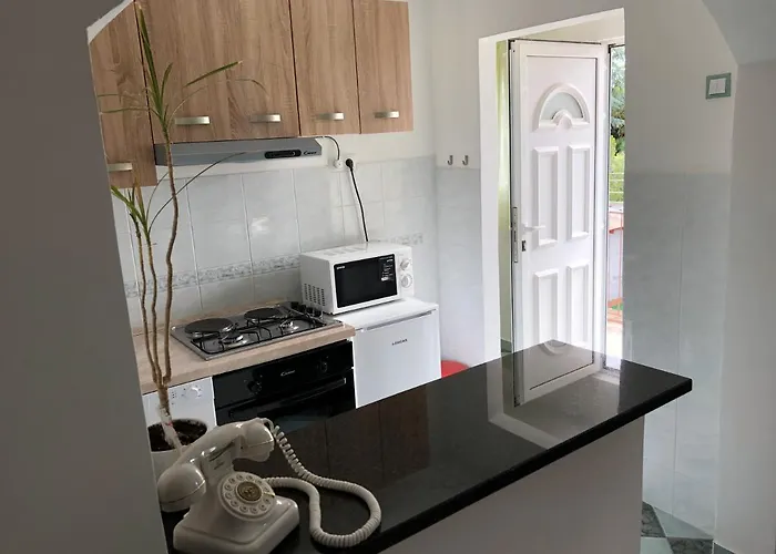 Sea Star Apartment