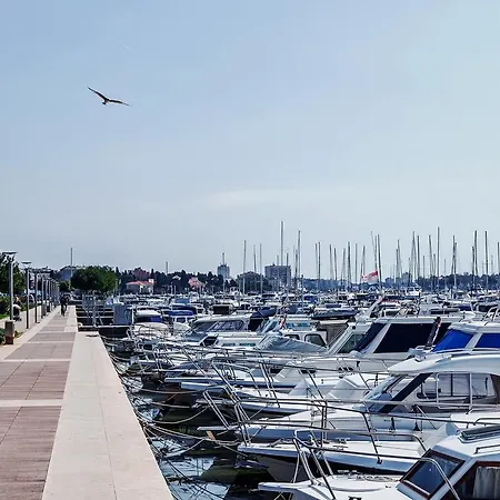 Sea Star * Zadar