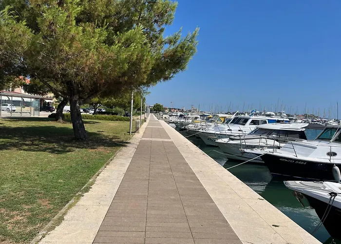 Sea Star Ζαντάρ