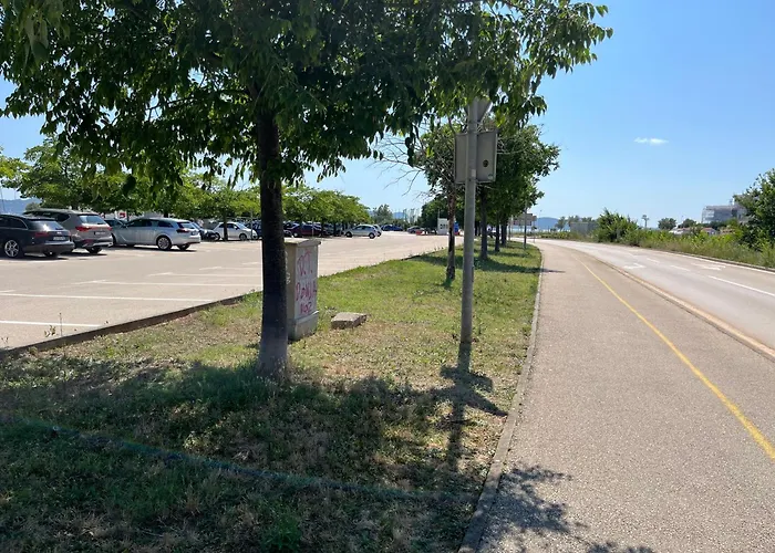 Sea Star * Ζαντάρ